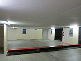 IMG_0503