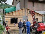 IMG_0522