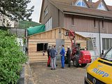IMG_0523